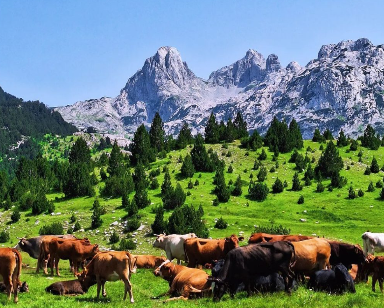 Prenj Mountains, Herzegovina Region, Bosnia and Herzegovina